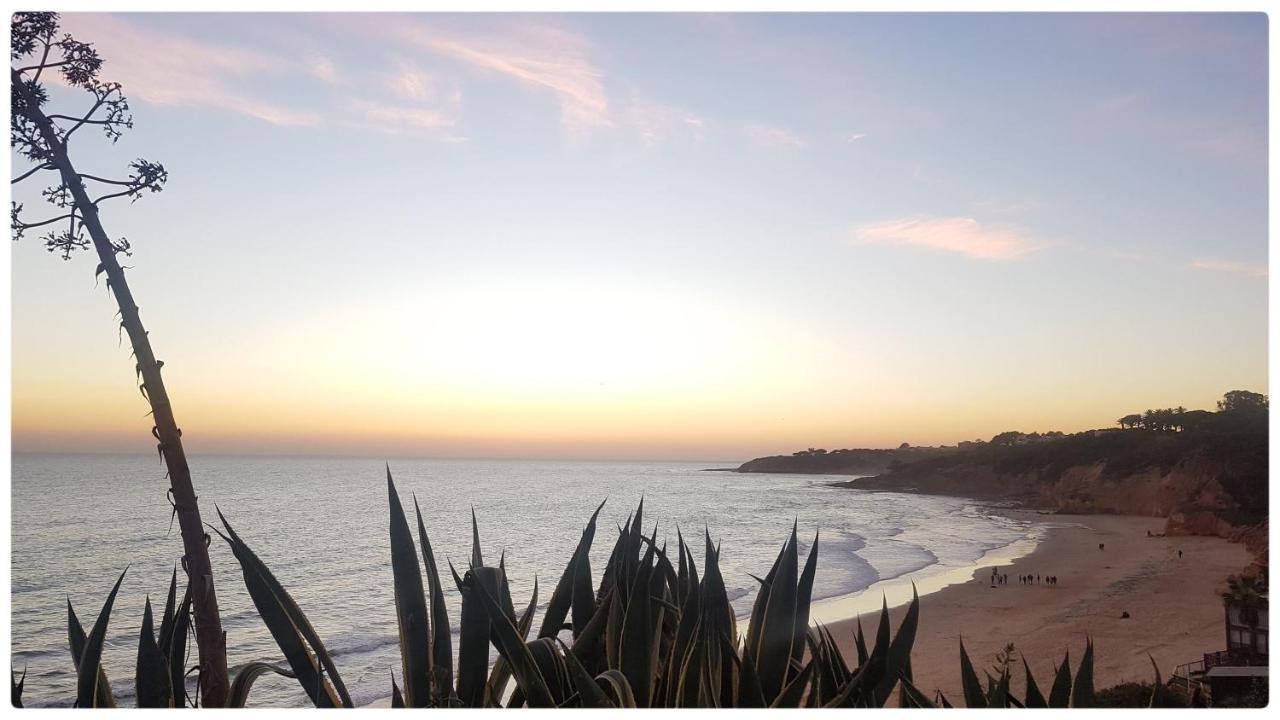 Sunset Villa By Laranjal Rentals Olhos de Agua  Exterior foto